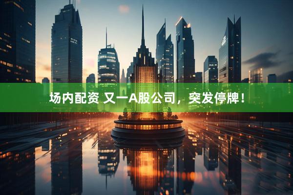 场内配资 又一A股公司，突发停牌！