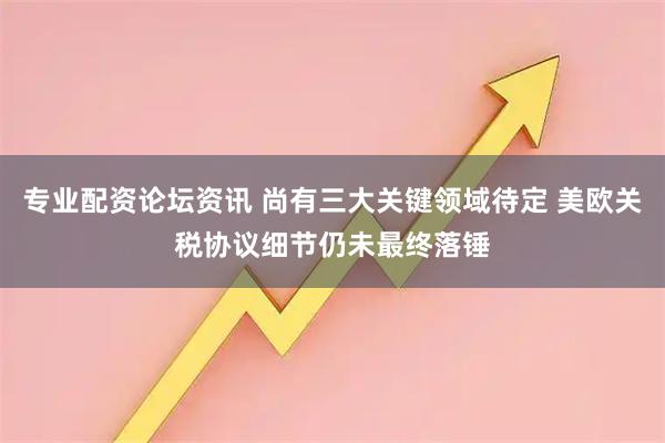 专业配资论坛资讯 尚有三大关键领域待定 美欧关税协议细节仍未最终落锤